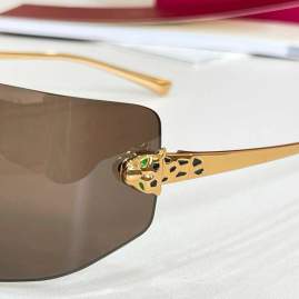 Picture of Cartier Sunglasses _SKUfw80443004fw